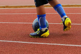 开云在线登入-明星球员带动体育产业发展，打造体育明星的弊端