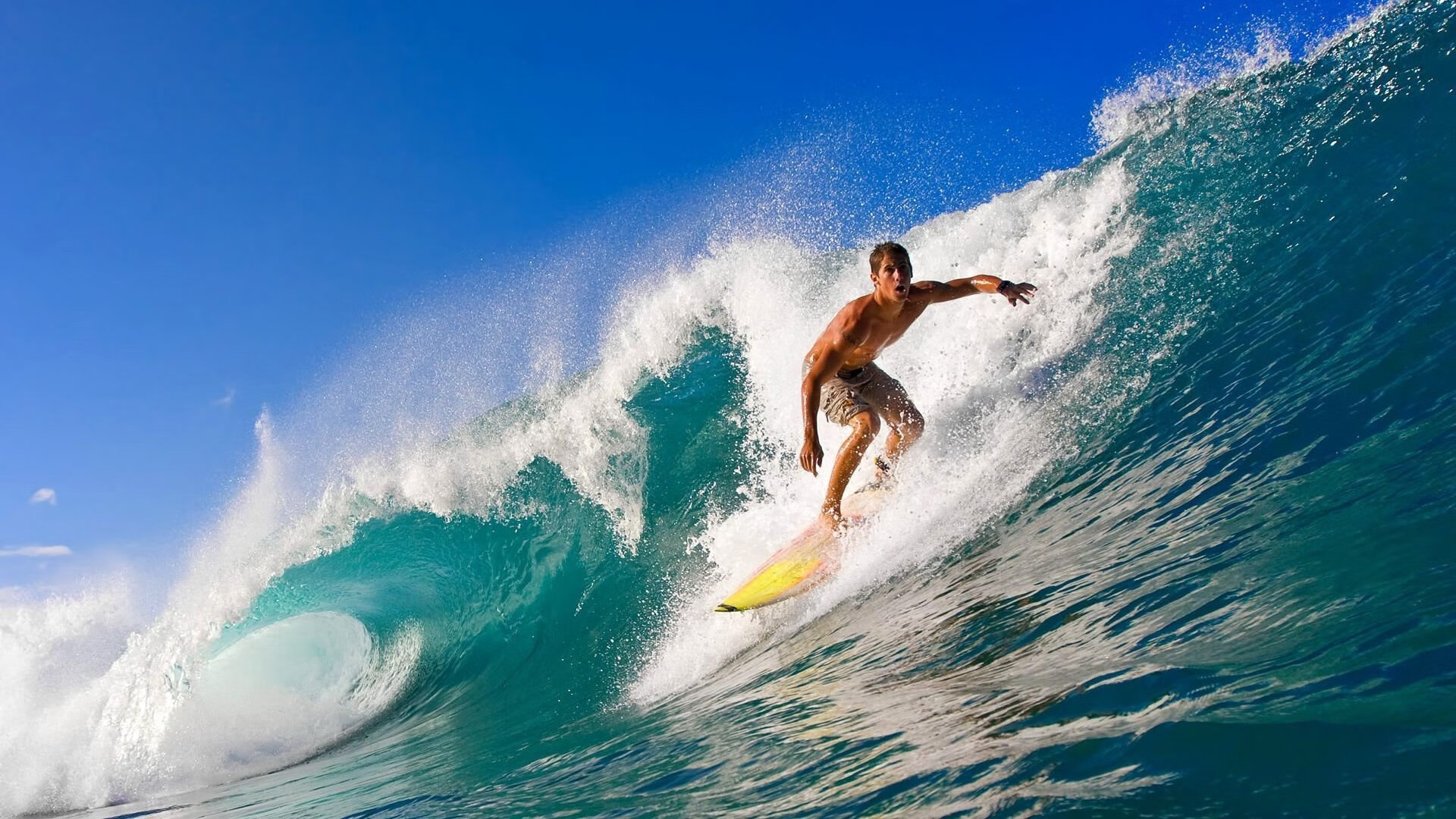 “亚戈·卡尔曼的高效进攻与防守技巧,推动美洲狮队向冠军迈进”