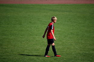 kaiyun开云体育-中国足球职业俱乐部球员转会市场活跃度提升，中国足球协会球员身份与转会管理规定